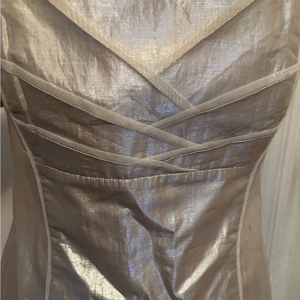 White House Black Market Metallic Silver Gold Corset Top